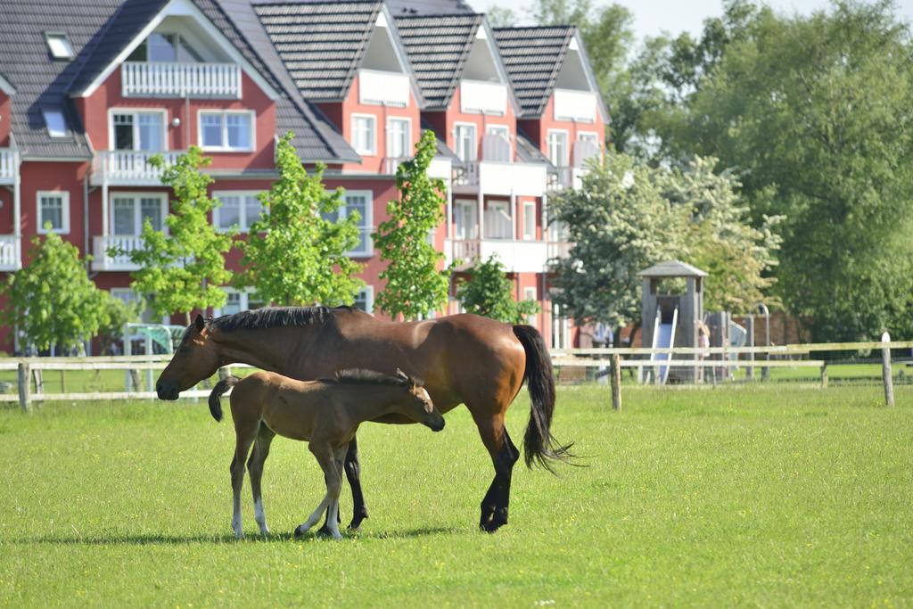 Strandhafer Aparthotel Rostock Eksteriør billede
