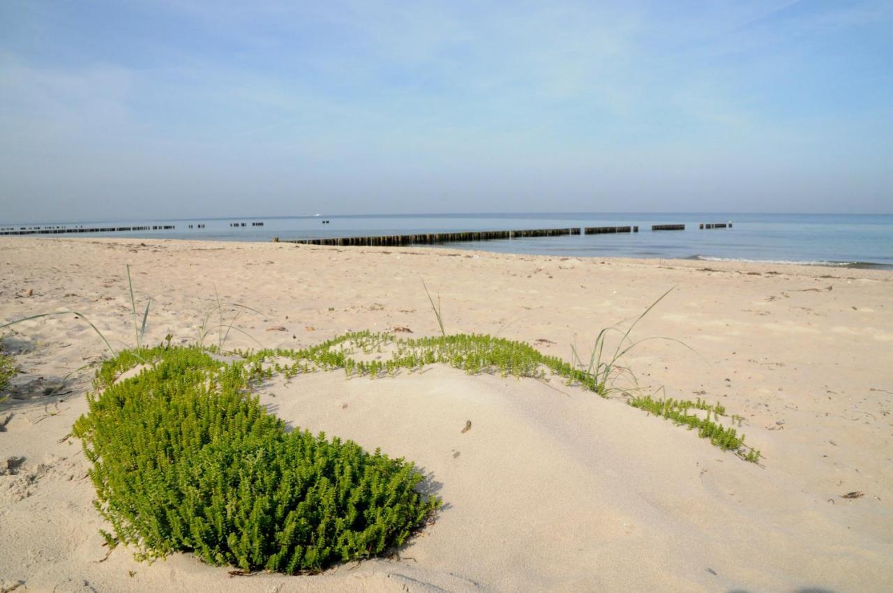 Strandhafer Aparthotel Rostock Eksteriør billede